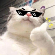 Min fin loe mae kg
