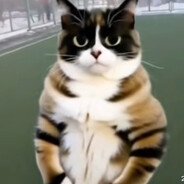 странгер - steam id 76561199506469999