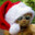 Fraan__11 avatar