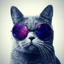 tangocat420