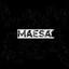 Maesa