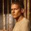 Michael Scofield