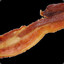 wutz shakin bacon