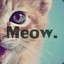 Meow.