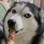 husky god