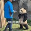 石化