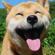 热心市民侯先生