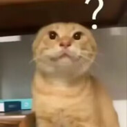 不吃香菜（哈气版）