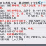 超雄老奶暴击你爹