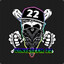vinylizer22