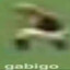 gabigo