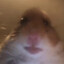 Giba