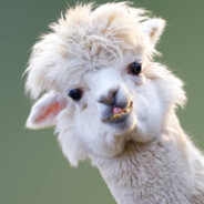 margic - steam id 76561198000506288