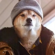 小权权的奇妙探险