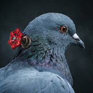 Steam Avatar