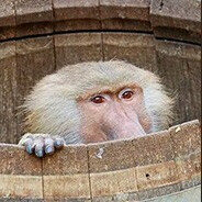 双手一合，顺过气来