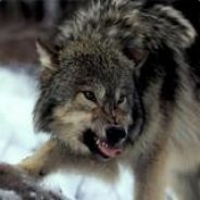 LouP - steam id 76561197967641947