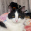 sancho