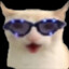 Madty