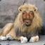 Snoop Lion