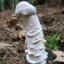 mushroomhead