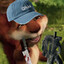 masskiller