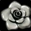 SilverRose