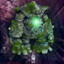 Golem
