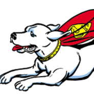 Superdog