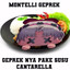 Montelli Geprek