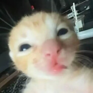 QQ乃乃好喝到咩噗茶