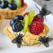 flies on a tart