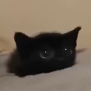 CCZ's avatar