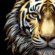 valentiger - steam id 76561198040818478