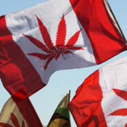 Mr.Question_Marrrrrrk