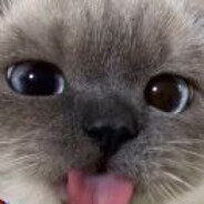 #无不良引导#正常穿搭#ootd#辣妹#纯欲#fyp#厌男