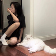 翻斗花园美牛牛