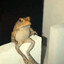 SirFrog