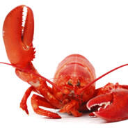 LobBob