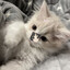 Lunyar_23