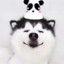 无望海.