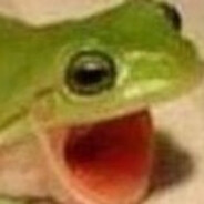 FROG POG