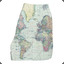 Chino_Shorts