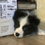 Zzz