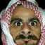 الدب السنجاب القض