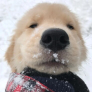 心中有党 战绩辉煌