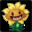 SunflowerAdy 