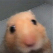 Stoopu Doopu