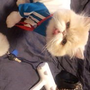 一万就一万万一呢