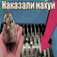 InPostˢᶻᵉᶠ skins.army